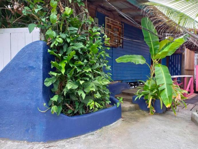 Villa Casa Elba Sobre El Mar Bocas del Toro Exterior foto